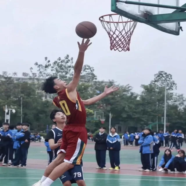 篮球季后赛走势解析：数据视角剖析第289组